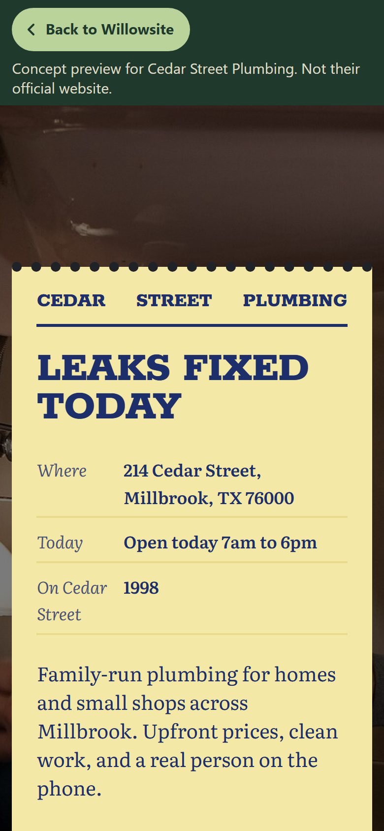 Open the Cedar Street Plumbing sample site